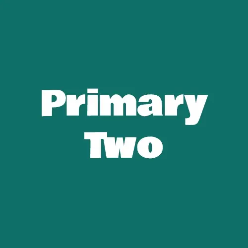 Primary 2 Tuition