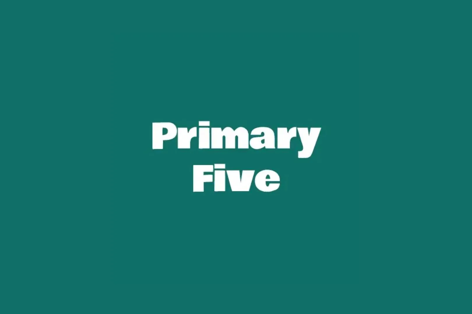 primary-5-tuition